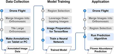 Flower Mapping in Grasslands With Drones and Deep Learning